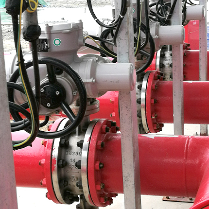 文萊PMB石化項目旋球閥